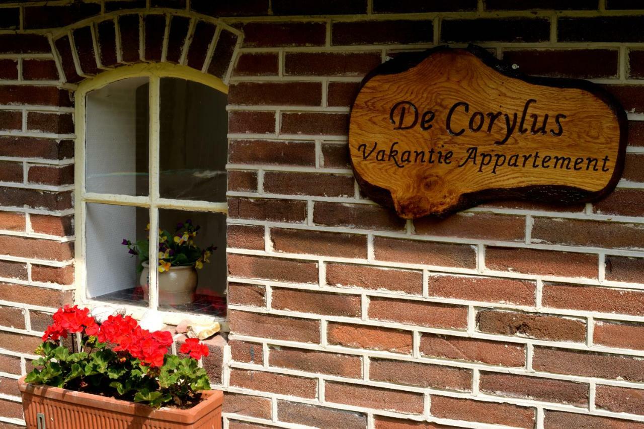 De Corylus Vakantie Appartement Oosterhesselen Luaran gambar